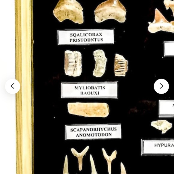 Show followme and like to know when I am doing a show jewelry and gemstones - Picture 17 of 17